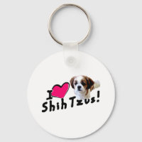 Ich Liebe Shih Tzus!
