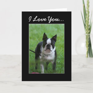 Ich Liebe Sie Boston Terrier Grußkarte Karte