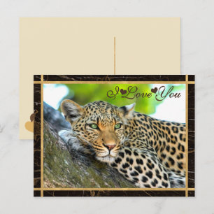 Ich Liebe Sie Leopard Fotografie Postkarte