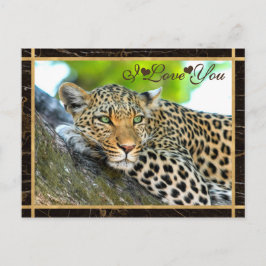 Ich Liebe Sie Leopard Fotografie Postkarte