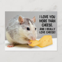 Ich Liebe Sie mehr als Käse Ratte Ratte