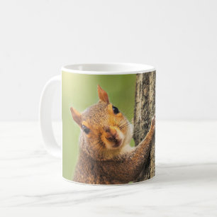 Ich Liebe Sie Niedliche Eichhörnchen Kletterbaum F Kaffeetasse