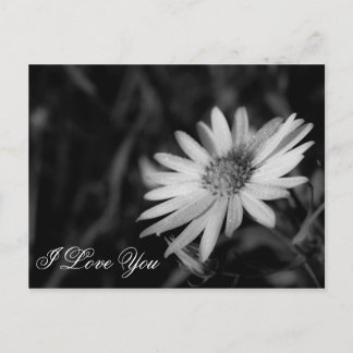Ich Liebe Sie Postkarte