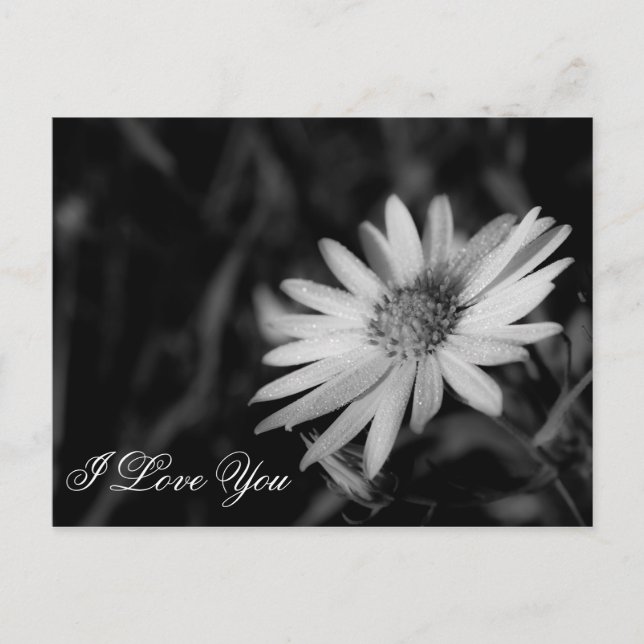 Ich Liebe Sie Postkarte (Vorderseite)