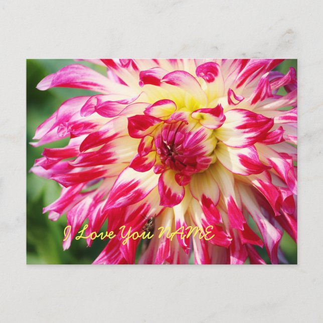 Ich Liebe Sie Postkarte (Vorderseite)