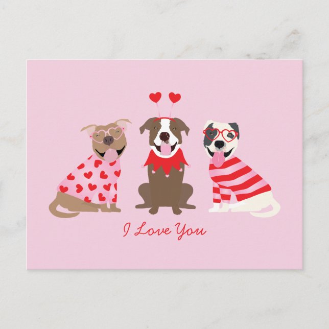 Ich Liebe Sie Valentinin American Pit Bull Terrier Postkarte (Vorderseite)