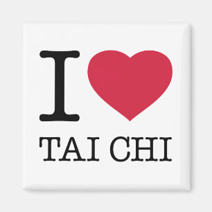 ICH LIEBE TAI CHI MAGNET