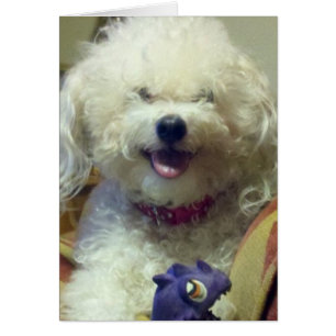 ICH LIEBE U MEHR ALS MEIN FAV TOY