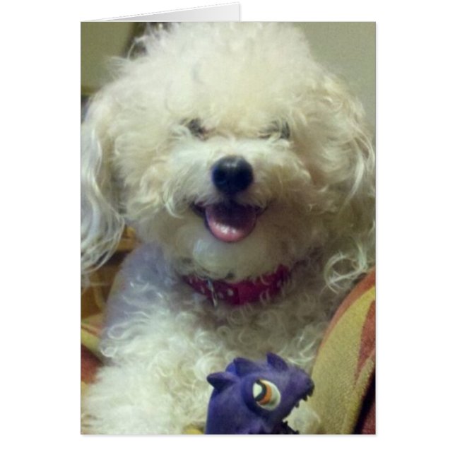 ICH LIEBE U MEHR ALS MEIN FAV TOY (Vorne)