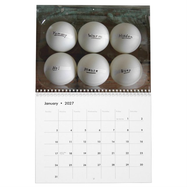 ich liegend in den Gänseblümchen, 2011 Kalender (Jan 2027)