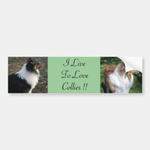 Ich LiveTo LoveCollies !! Autoaufkleber