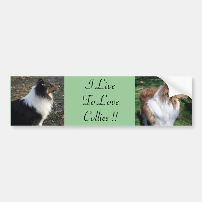 Ich LiveTo LoveCollies !! Autoaufkleber (Vorne)