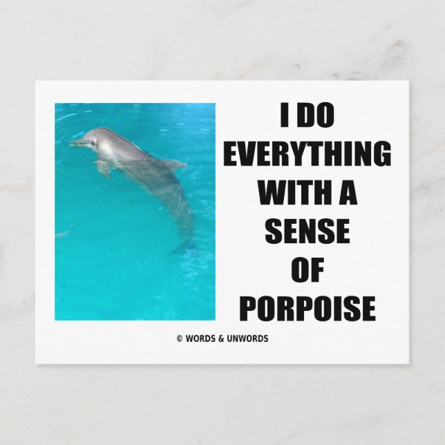 Ich mache alles mit einem Sinn für Porpoise (Zweck Postkarte (Vorderseite)