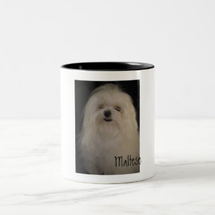 Ich mache keine Top Knots MALTESE Zweifarbige Tasse