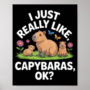 Ich mag Capybaras einfach wirklich Ok_ Tierliebhab Poster