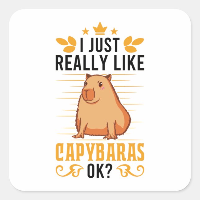 Ich mag Capybaras Ok Capybara Quadratischer Aufkleber (Vorderseite)