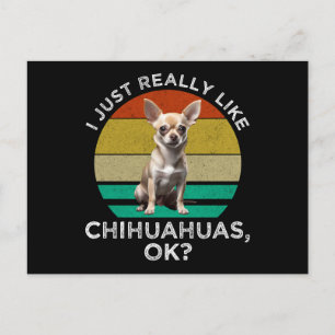 Ich mag Chihuahua einfach wirklich, OK? Postkarte