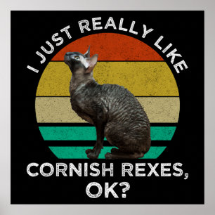 Ich mag Cornish Rex Katzen einfach wirklich gerne, Poster