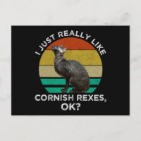 Ich mag Cornish Rex Katzen einfach wirklich, OK?