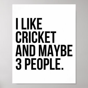 Ich mag Cricket und vielleicht 3 Leute lustig Cric Poster