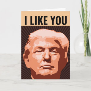 ICH MAG, DASS SIE TRUMP BIRTHDAY FUNNY CARD GEBEN KARTE