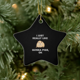 Ich mag Guinea Schweine wirklich gerne Guinea Schw Keramik Ornament