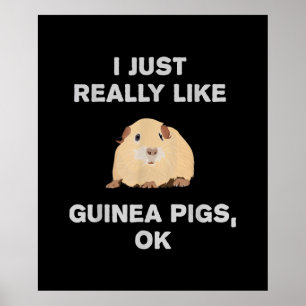 Ich mag Guinea Schweine wirklich gerne Guinea Schw Poster