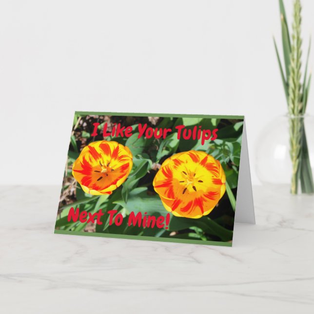 Ich mag Ihre Tulpen nahe bei meinen lustiger Karte (Vorderseite)