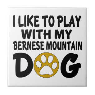 Ich mag mit meinem Bernese Gebirgshund spielen Fliese