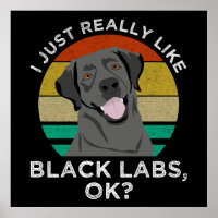Ich mag nur schwarze Labrador, okay?