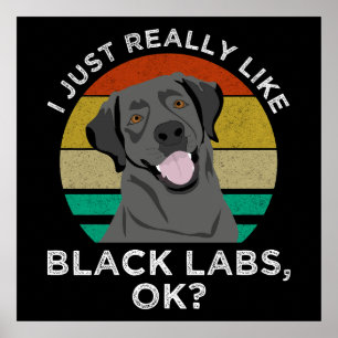 Ich mag nur schwarze Labrador, okay? Poster