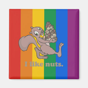 ICH MAG NÜSSE MAGNET