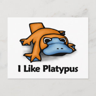 Ich mag Platypus Postkarte