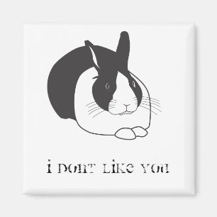 Ich mag Sie nicht Magnet