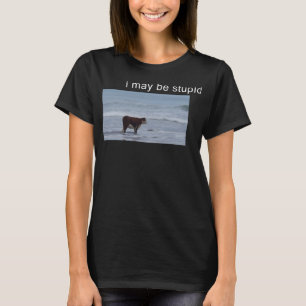 Ich mag stupid Kuh Meme ich dumm lustig sein T-Shirt