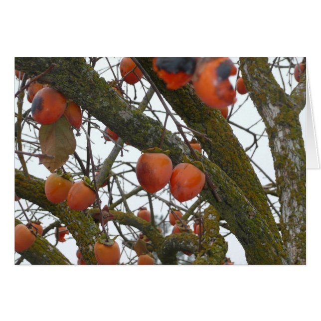 "Ich mag sure mit Ihnen heraus hängen. " (Vorderseite (Horizontal))