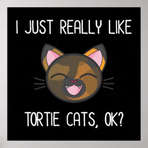 Ich mag Tortie Cats wirklich gut? Tortoisesch Poster