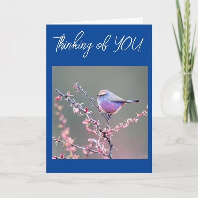 *ICH MISSE, DASS SIE* IN DER PERSON-KARTE SAGEN KÖ KARTE (Vorderseite)