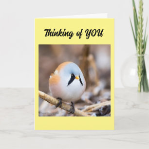 *ICH MISSE, DASS SIE* IN DER PERSON-KARTE SAGEN KÖ KARTE