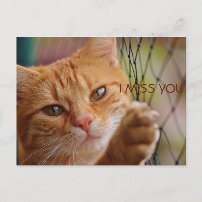 ICH MISSE DICH POSTKARTE (Vorderseite)