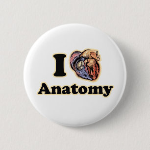 Ich möchte Anatomie Science Super Geek Teacher Button