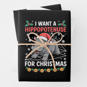 Ich möchte eine Hippopotenuse zu Weihnachten Mathe Geschenkpapier Set