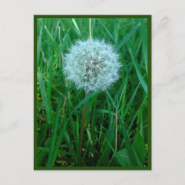 Ich möchte Postkarte