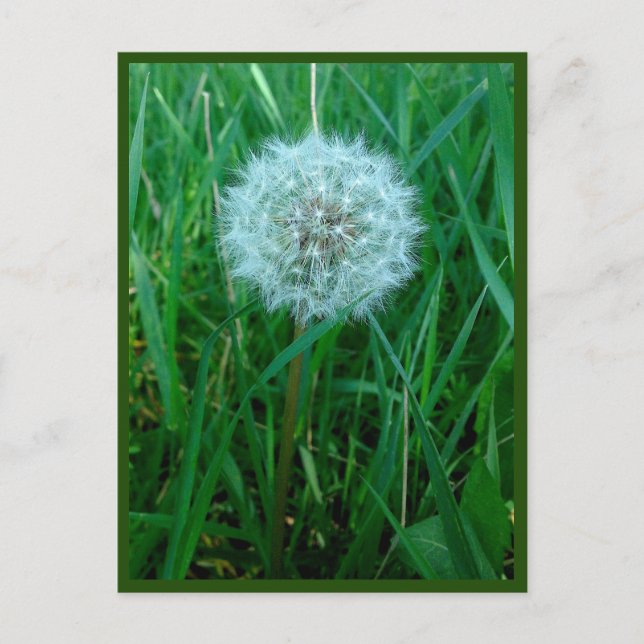 Ich möchte Postkarte (Vorderseite)