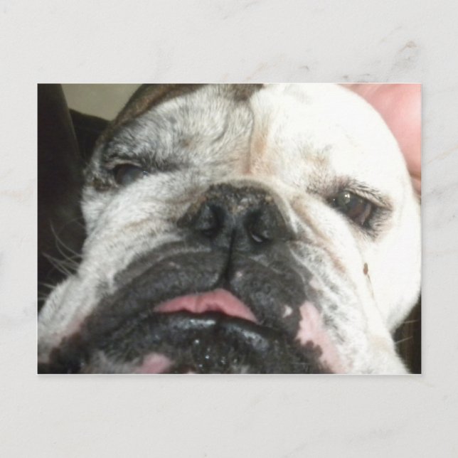 Ich muss aufhören zu trinken. postkarte (Vorderseite)