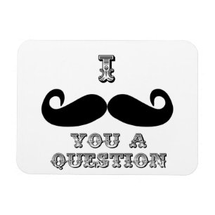Ich Mustache Ihnen eine Frage Magnet
