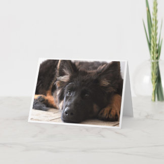 Ich passe Sie auf Karte