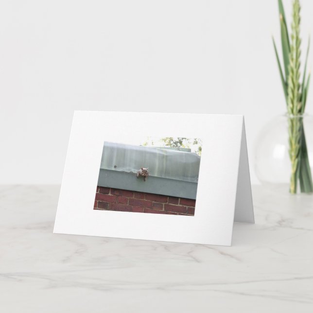 ich passe Sie auf Karte (Vorderseite)