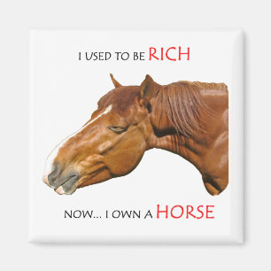 Ich pflegte, um reich zu sein magnet