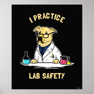 Ich praktiziere die Sicherheit von Labradoren Poster